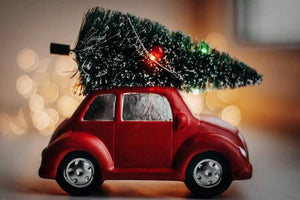 Dovanos automobilių mėgėjams