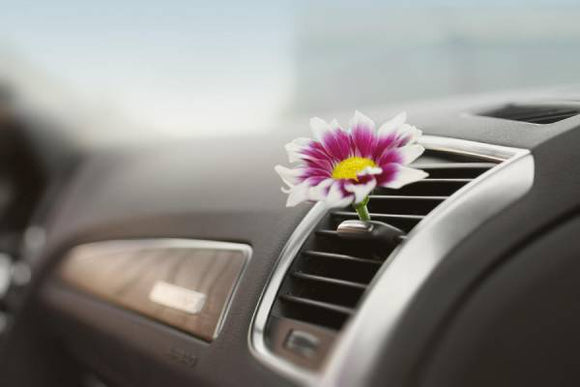 Sezoniniai auto kvapukai: kaip išsirinkti tinkamiausią aromatą pagal metų laiką