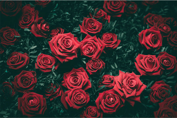 Valentino diena 2024 metais: idėjos romantiškai šventei